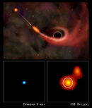 Поглощение звезды черной дырой