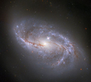 Галактика NGC 2608