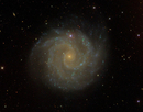 Галактика NGC 3184