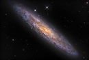Галактика NGC 253