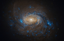 Галактика NGC 1068