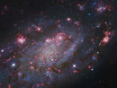 Галактика NGC 2403