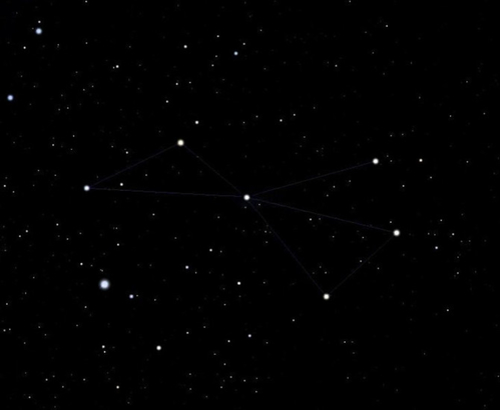 Созвездие Летучая Рыба