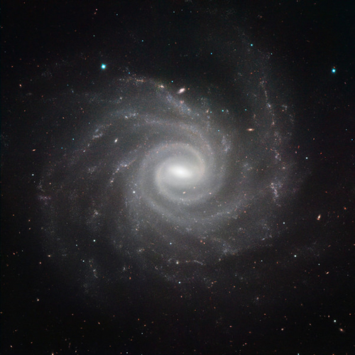 Галактика NGC 1232